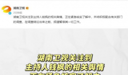 娱乐圈吃瓜爆料找谁举报,揭秘如何有效举报吃瓜信息