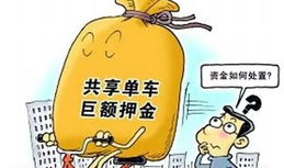 重庆吃瓜最新事件爆料新闻,揭秘网络热议背后的真相